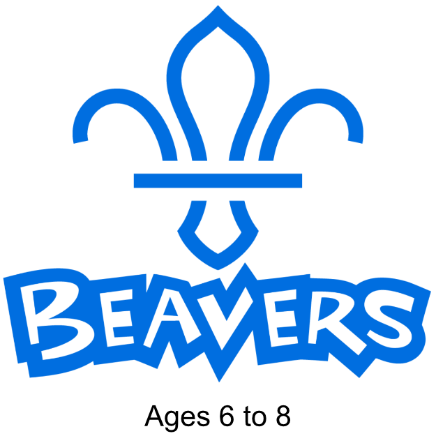 beavers