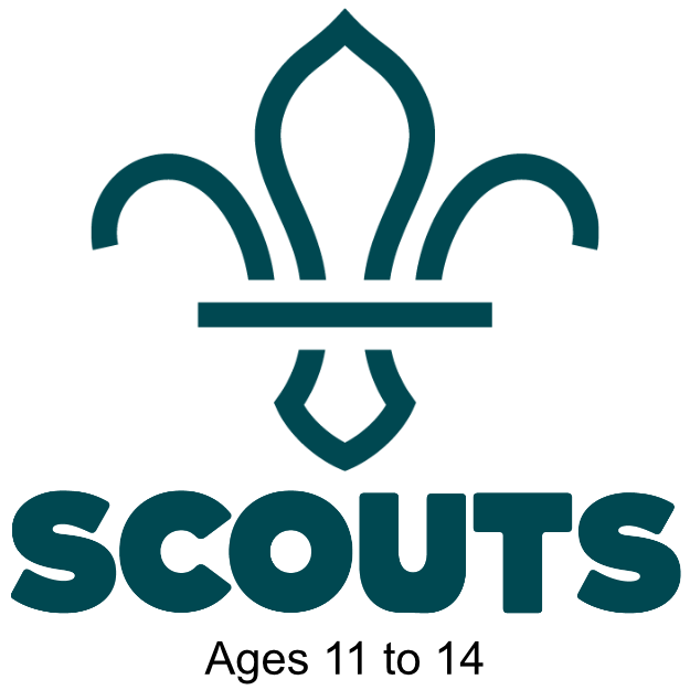 scouts